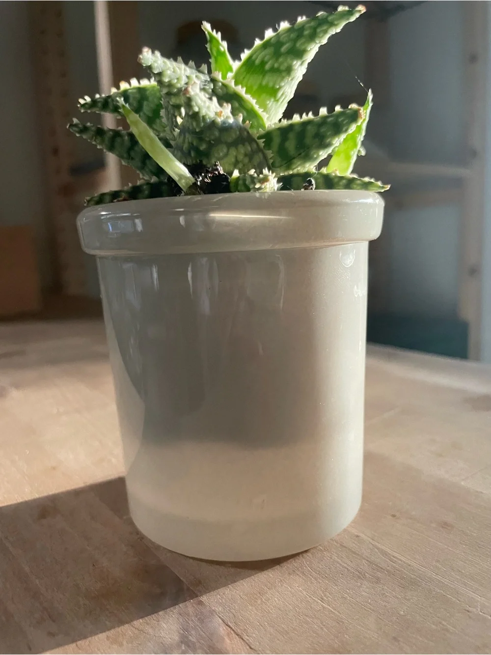 Sage Green Jar